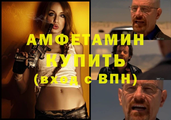 ПСИЛОЦИБИНОВЫЕ ГРИБЫ Верея