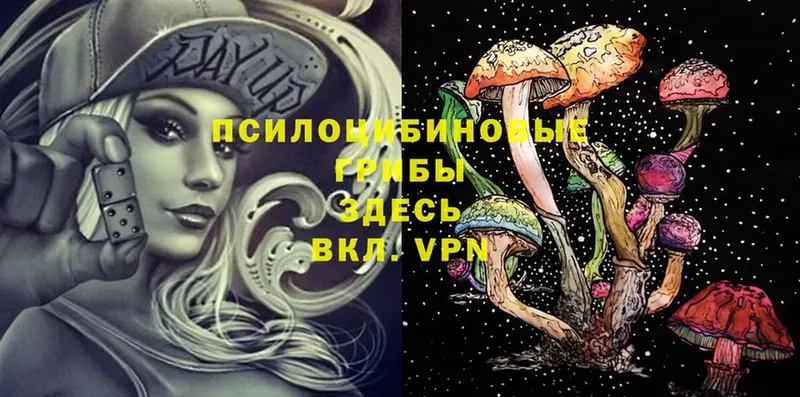 darknet состав  Ярцево  Псилоцибиновые грибы Psilocybe  магазин   